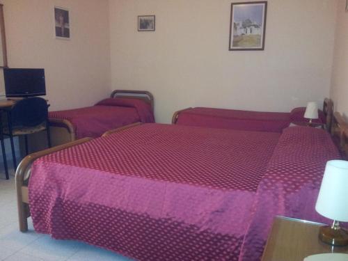 Hotel Airone Αλμπερομπέλο Εξωτερικό φωτογραφία